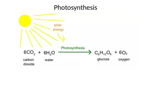 WJEC/EDUQAS A2 BIOLOGY PHOTOSYNTHESIS Powerpoint/Lesson/Activities/Quiz ...