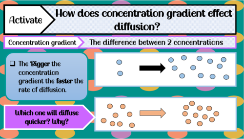 B3.2 The Human Digestive System AQA GCSE 9-1 Science GCSE | Teaching ...