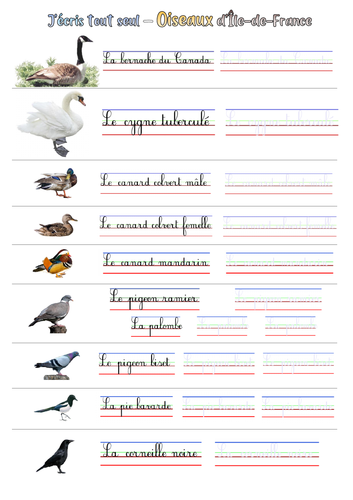 pdf, 393.33 KB