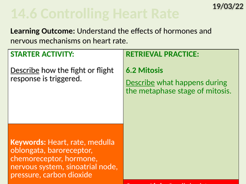 OCR Biology A- 14.6 Controlling Heart Rate