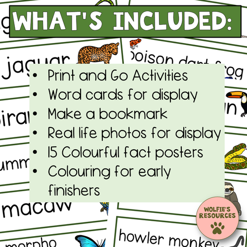 Amazon Rainforest Animals | Posters And Activities | Teaching Resources