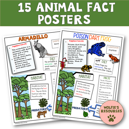 Amazon Rainforest Animals | Posters And Activities | Teaching Resources