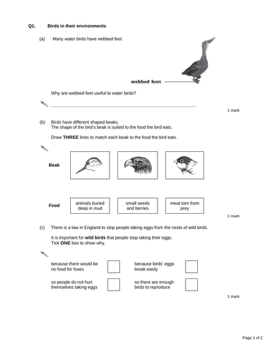 pdf, 34.21 KB