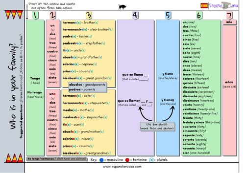  Sentence Builder Cu ntas Personas Hay En Tu Familia Viva 1 Module 4 Unit 1 Teaching 