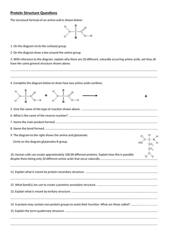 5 worksheets from the Biological Molecules topic for A level - lipids ...