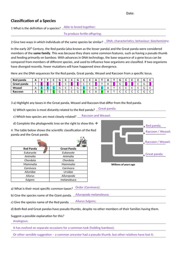 docx, 122.71 KB