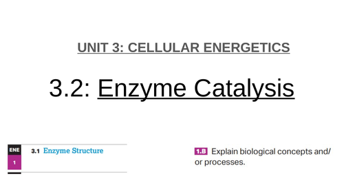 AP Biology Unit 3- complete lessons | Teaching Resources