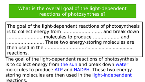 AP Biology Unit 3- complete lessons | Teaching Resources