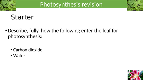 GCSE AQA B4 photosynthesis revision | Teaching Resources