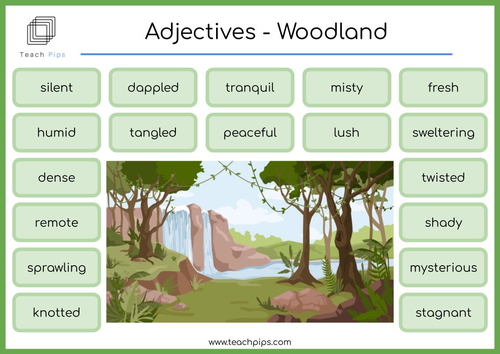 NEW- Adjective Settings | Teaching Resources