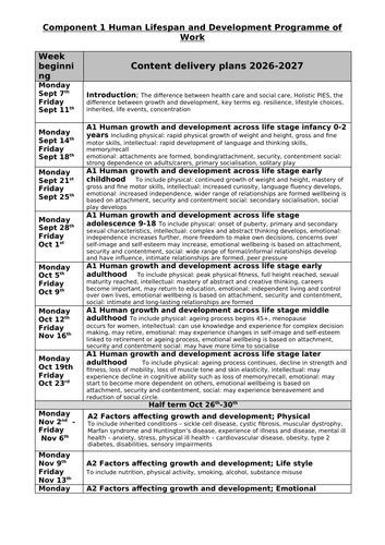 docx, 38.93 KB