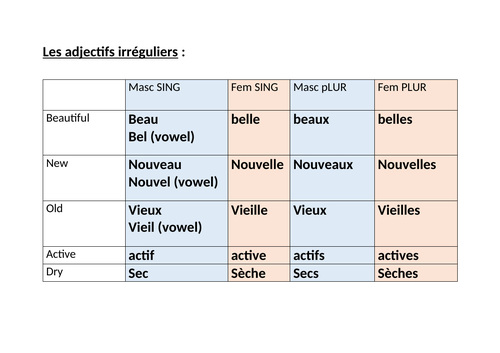 The Adjectives Beau Nouveau Vieux Chapitre 1 Answers