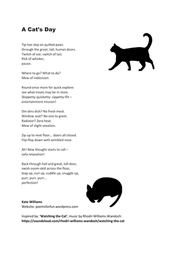 A Cat's Day - Poem | Teaching Resources