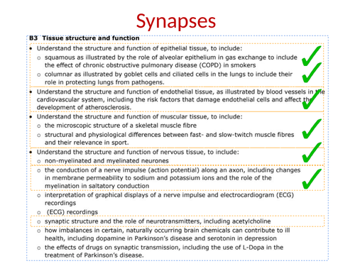 BTEC Applied Science Unit 1 Biology B3 Tissue Structure and Function ...