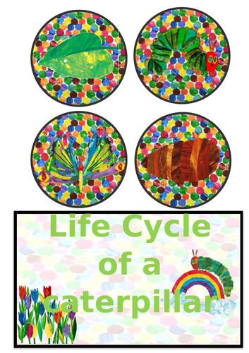 The Very Hungry Caterpillar life cycle images