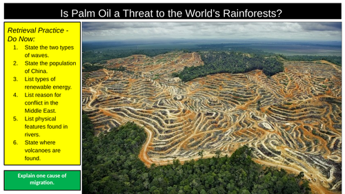 Rainforest Threats Palm Oil
