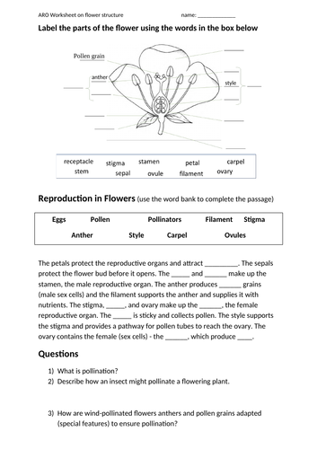 Gcse Parts Of A Flower And Dissection Lesson With Video Instructions 