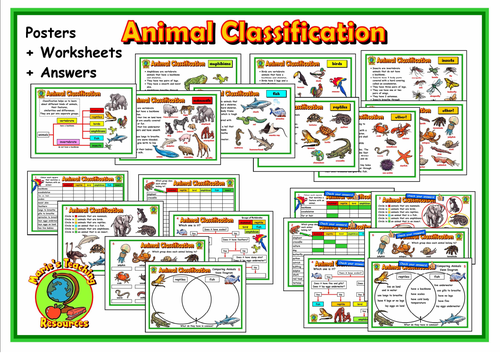 Animal Classification Posters & Worksheets | Teaching Resources