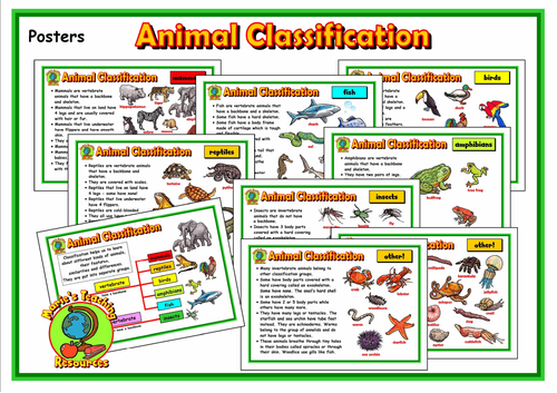 Animal Classification Posters | Teaching Resources