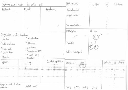 Edexcel Biology paper 1 revision poster | Teaching Resources