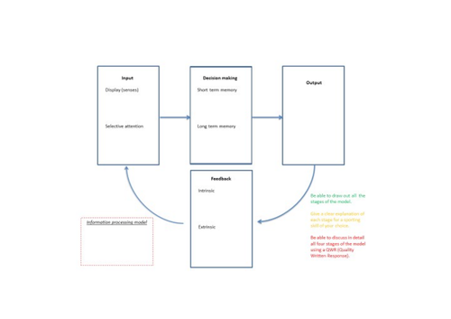 AQA GCSE PE Information Processing Penalty Predictor | Teaching Resources