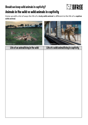 Should We Keep Wild Animals In Captivity? | Teaching Resources