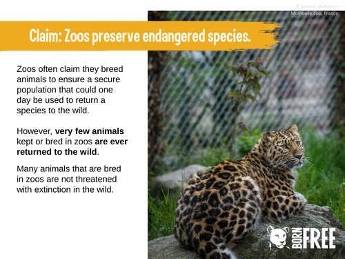 read the thesis statement about wild animals in captivity