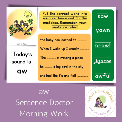 RWI Set 3 Sentence Doctor Morning Work 19 Slide/Sheet Bundle