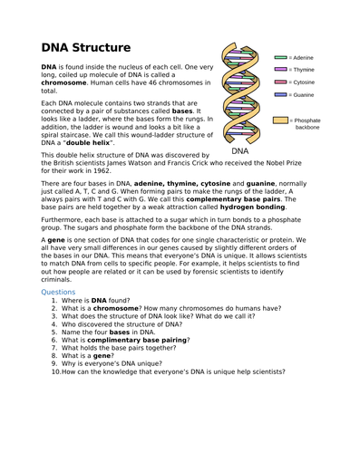 DNA Structure & the Triplet Code (WJEC - 4.3 DNA & Inheritance ...