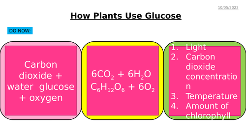 AQA GCSE Biology – B8 Photosynthesis - PowerPoint pack | Teaching Resources
