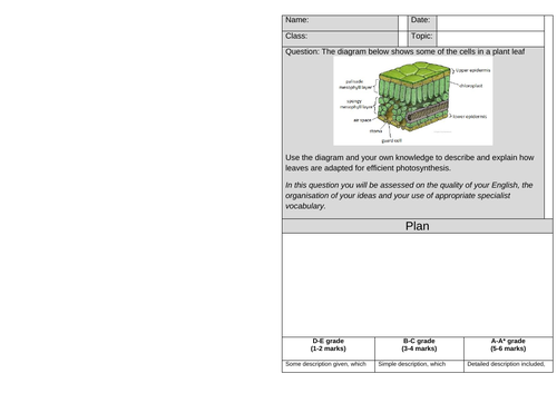 AQA GCSE Biology – B8 Photosynthesis - PowerPoint pack | Teaching Resources