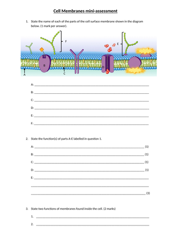 AQA A level Biology 2.2 Transport Across Cell Membranes Full SoW ...