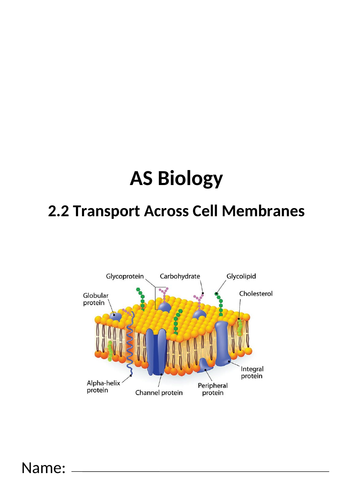 Aqa A Level Biology 22 Transport Across Cell Membranes Full Sow Teaching Resources 6190