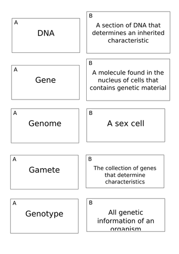 KS4 Biology DNA Flashcards | Teaching Resources