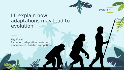 Year 6 Science Evolution: Lesson 2 - Adaptations and Camouflage