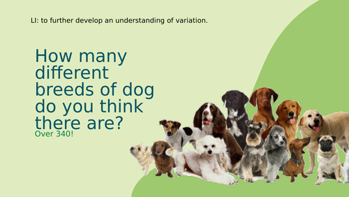 Year 6 Science Evolution: Lesson  4 - Inheritance and Variation