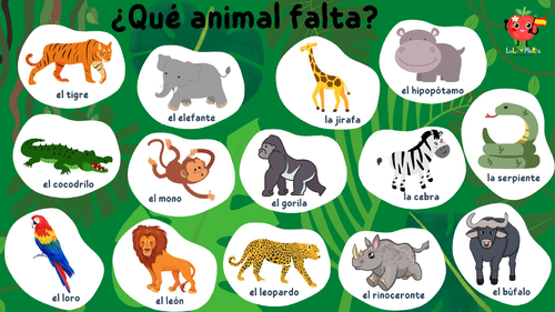 Spanish Jungle Animals Package for KS2 | Teaching Resources