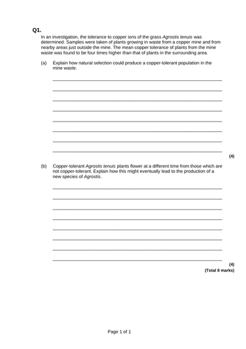 docx, 20.64 KB