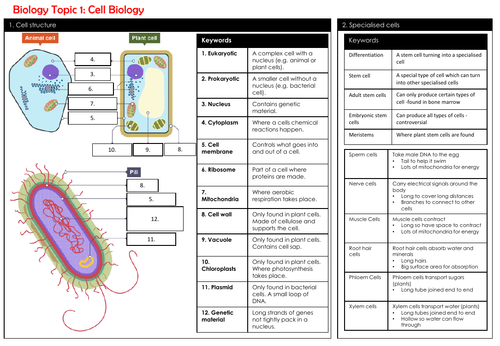 AQA GCSE Biology B1 Mastery Booklet & Knowledge Organiser | Teaching ...