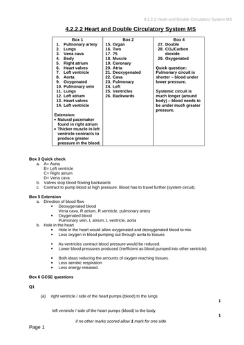 heart-and-double-circulatory-system-teaching-resources