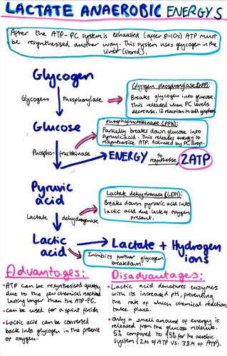 Anaerobic discount lactic system