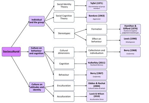 ib-hl-psychology-summary-of-main-studies-teaching-resources