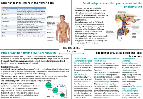 IB HL SEHS - Topic 8 Endocrine System