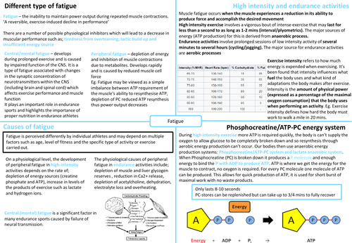 IB HL SEHS - Topic 9 Fatigue