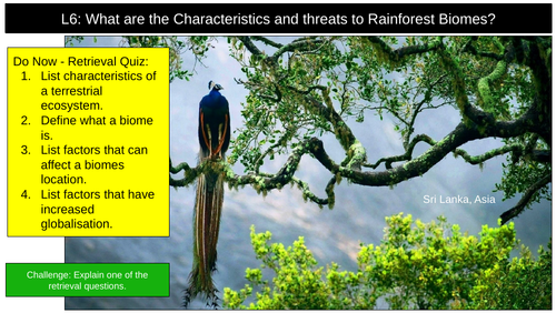 Rainforests AQA