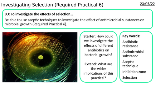 AS/A2-Level AQA Biology RP6 Investigating Selection Aseptic Technique Antibiotics Bacterial Growth