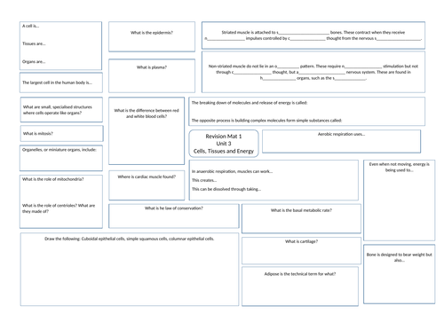BTEC Level 3 Health and Social Care unit 3 Revision Mats | Teaching ...