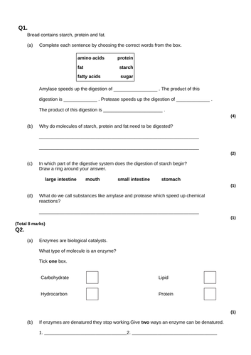 Digestion sequence of lessons | Teaching Resources