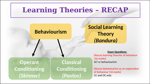 research findings that challenge the learning theory of attachment