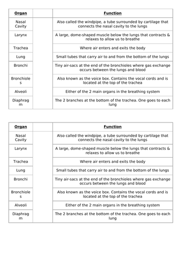 Muscles & Bones Lesson 1 - Fitness & Lung Anatomy (Exploring Science 7C ...